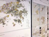 Green Belt, Grey Belt? Non-zoned approaches to landscape evaluation and management in Hong Kong. By LI Man Hei Bernice, 2016.