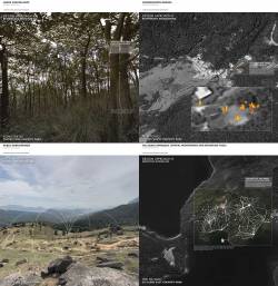 Conservation Watch: Nuanced modelling approaches for adaptive management of Hong Kong's conservation landscapes. By SHUM Siu Kei David, 2019.
