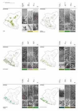 Fragmentation in National Desertification Policy: Environmental management and relocation for eco-refugees, Northwest China. By ZHANG Zihui Ffion, 2014.