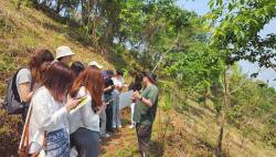 Mon Cham forest plot, Forest Restoration Research Unit (FORRU), Chiang Mai University. By Ashley Scott Kelly, 2023.