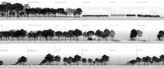 Catalog of forest management systems. By YUEN Ho Shun John, 2015.