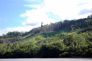 Deforestation along Huayabamba River near Dos de Mayo, San Martin, Peru. By GUO Feng Franky, 2012.
