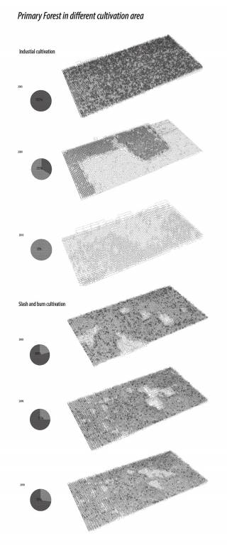 Deforestation patterns from conversion to oil palm, Loreto, Peru. By WANG Yun Summer, 2014.