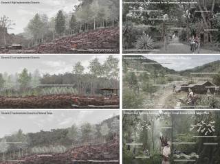 Ethnobotanical endangerment: Productive friction between ex-situ and in-situ cultural conservation for Laos's first botanical garden. By Lee Kai Chi Adam, 2022.