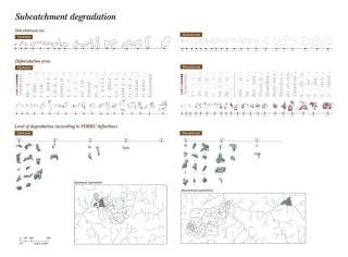 Indigenous-led forest restoration: From Community impact assessment to ecological potential in the uplands of Chiang Mai province. By Leung Wing Yan Kitty, 2023.