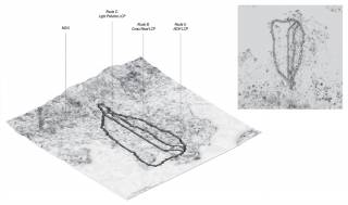 Singular surface model of habitat connectivity across ecological scales in Kowloon. By CHUNG Won Seok John, LEE Yin Ching Athena, and WONG Hon Ting Bryan, 2020.