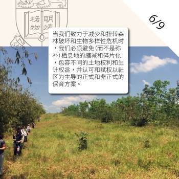 COP26 (6 of 9), 2021.